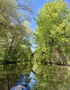 Impressionen Oker — Bild 6