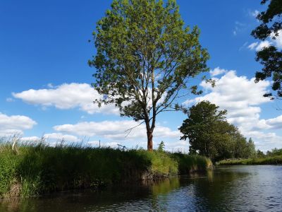 Impressionen Oker — Bild 12
