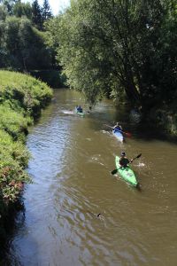 Sommerfest 2015 — Bild 12