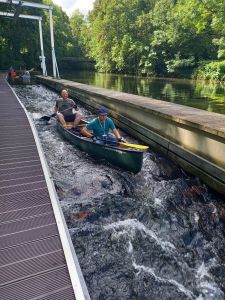 Sommerfest 2026 — Bild 3