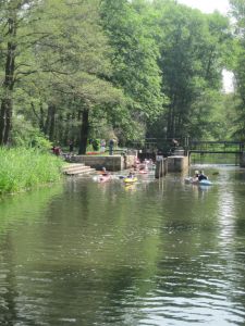 Spreewald 2011 — Bild 6