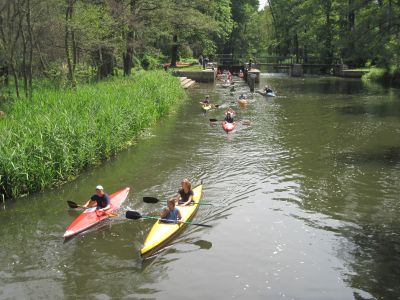 Spreewald 2011 — Bild 7