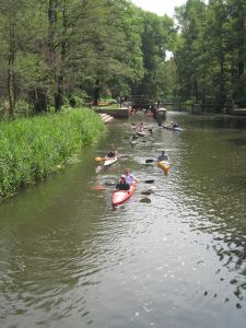 Spreewald 2011 — Bild 8