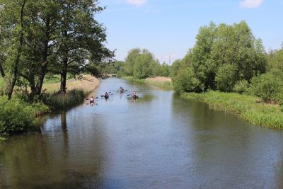 Spreewald 2013 — Bild 20
