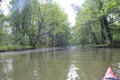 Spreewald 2015 — Bild 6