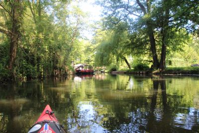Spreewald 2015 — Bild 10