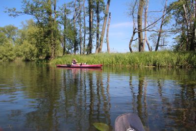 Spreewald 2015 — Bild 13