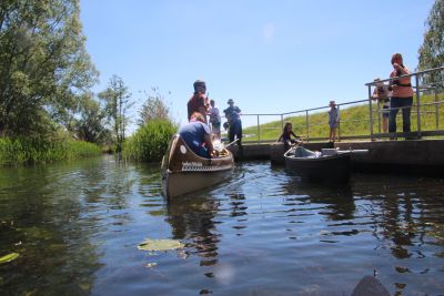 Spreewald 2015 — Bild 14