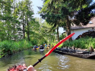 Spreewald 2023 — Bild 7