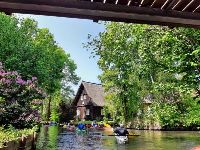 Spreewald 2023 — Bild 12