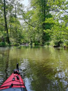 Spreewald 2023 — Bild 15