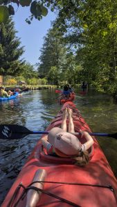 Spreewald 2026 — Bild 1