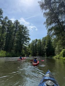 Spreewald 2026 — Bild 8