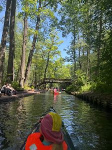 Spreewald 2026 — Bild 13