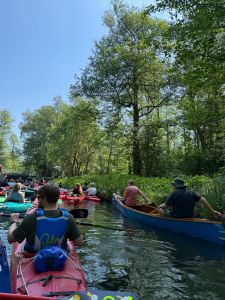 Spreewald 2026 — Bild 16
