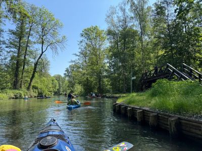 Spreewald 2026 — Bild 18