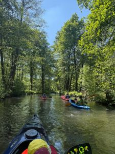Spreewald 2026 — Bild 30