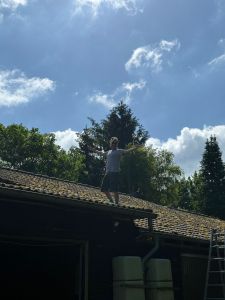 Work & BBQ Mai 2026 — Bild 6