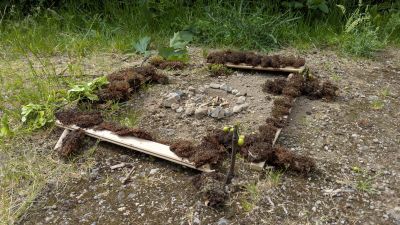 Work & BBQ Mai 2026 — Bild 8
